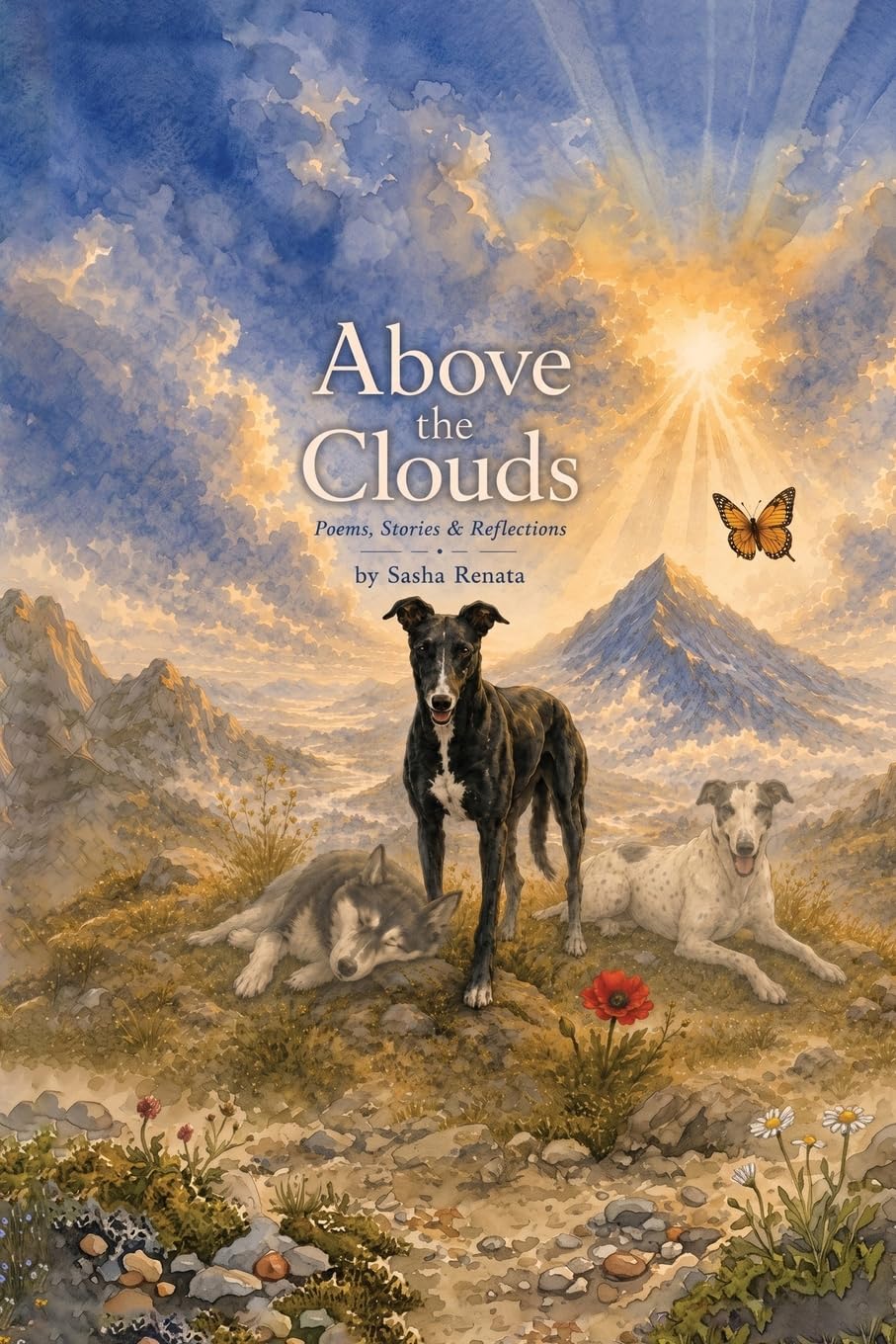 Above the clouds
