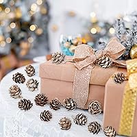 Vista 6 de 200 piñas de pino naturales de Navidad, minipiñas de pino de Acción de Gracias, adornos de piñas de Navidad a granel para decoración del hogar