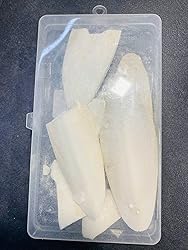 FUGLUS 20 Stück Sepiaschalen - Natürlicher Kalk Für Vögel & Reptilien, 4-5cm