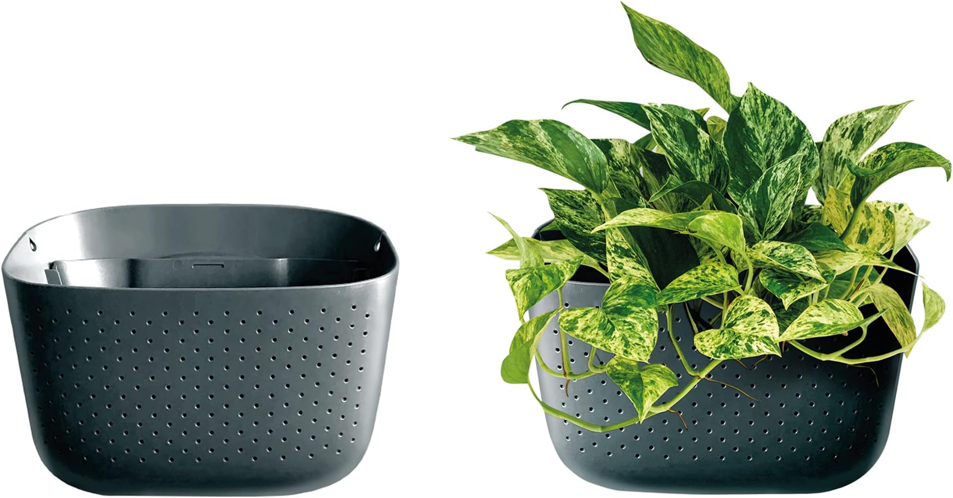 WallyGrow Eco Wall Planter, Create a Plant Wall with Hanging Planters for Indoor or Outdoor Use (Charcoal, 2 Pack)