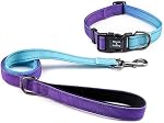 Roses&Poetry Dog Collar and Lead for Small, Adjustable Durable 5ft Puppy Leash Collar for Dog Training Lead (Mistyrose-M)