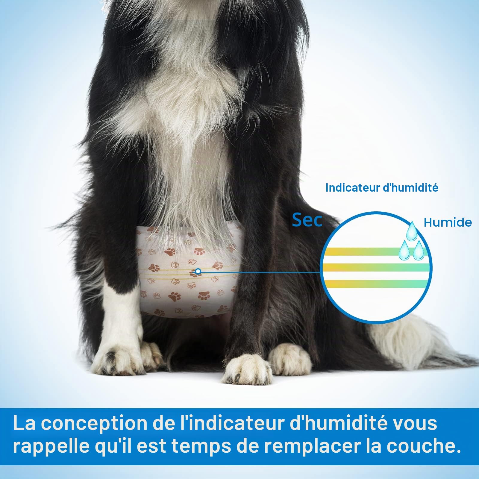 Pet Soft Couche Chien Male, Lot de 20 Couches Jetables pour Chiens Male, Super absorbantes Couche pour Chien Incontinent avec Indicateur d'humidité (S-20 Unité)
