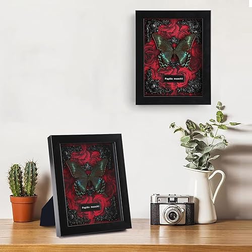 Miniatura 2 de Taxidermia de mariposa con marco de mariposa real, caja de sombra de mariposa, mariposas enmarcadas reales en una caja para decoración gótica del