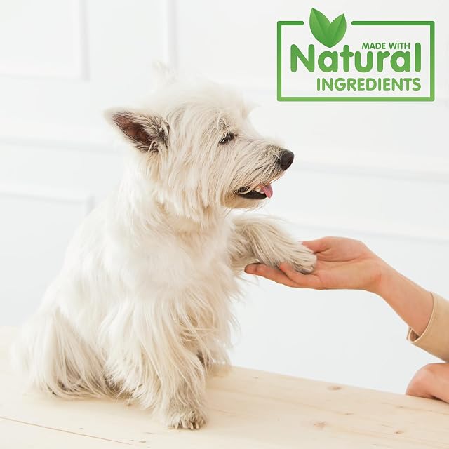 Foto 7 de 7 de Balsamo Protector y Curativo para Perros 100% Natural
