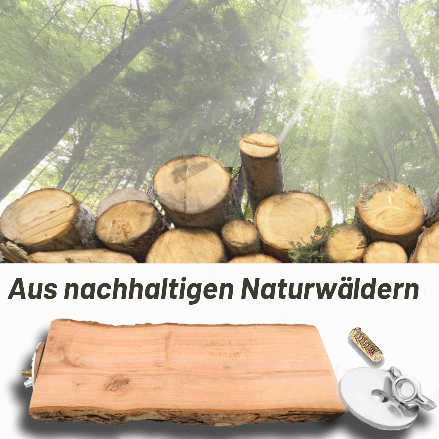 Vogel-Plattform aus Holz, 2 Stück, natürliche Papageienstange, Flacher Vogel-Spielständer, Sittichkäfig, Zubehör für kleine, mittelgroße Aras, Übungsspielzeug