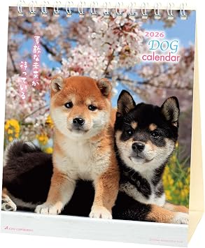 Active Corporation 2026 Tabletop Calendar, Little Dog, 26ACL-536, Starts January 2026