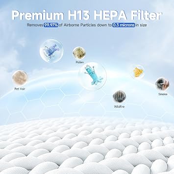 HSP002 Replacement Filter Compatible with HSP002 Smart Air Purifier 2.0 4-in-1 Filtration of Main Filter and Activated Carbon, 1 Pack