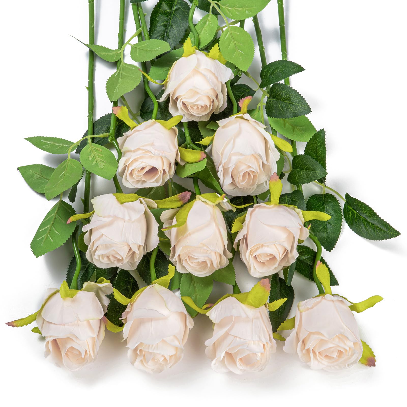 Duhouse Beige 10Pcs Artificial Silk Roses Flowers Single Long Stem Fake Rose Bouquet For Wedding Home Party Decoration Centerpieces(Beige)
