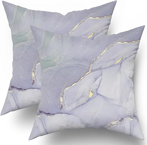Juego de 2 fundas de almohada decorativas de color gris dorado de 20 x 20 pulgadas, fundas de almohada decorativas con diseño de tinta de arte