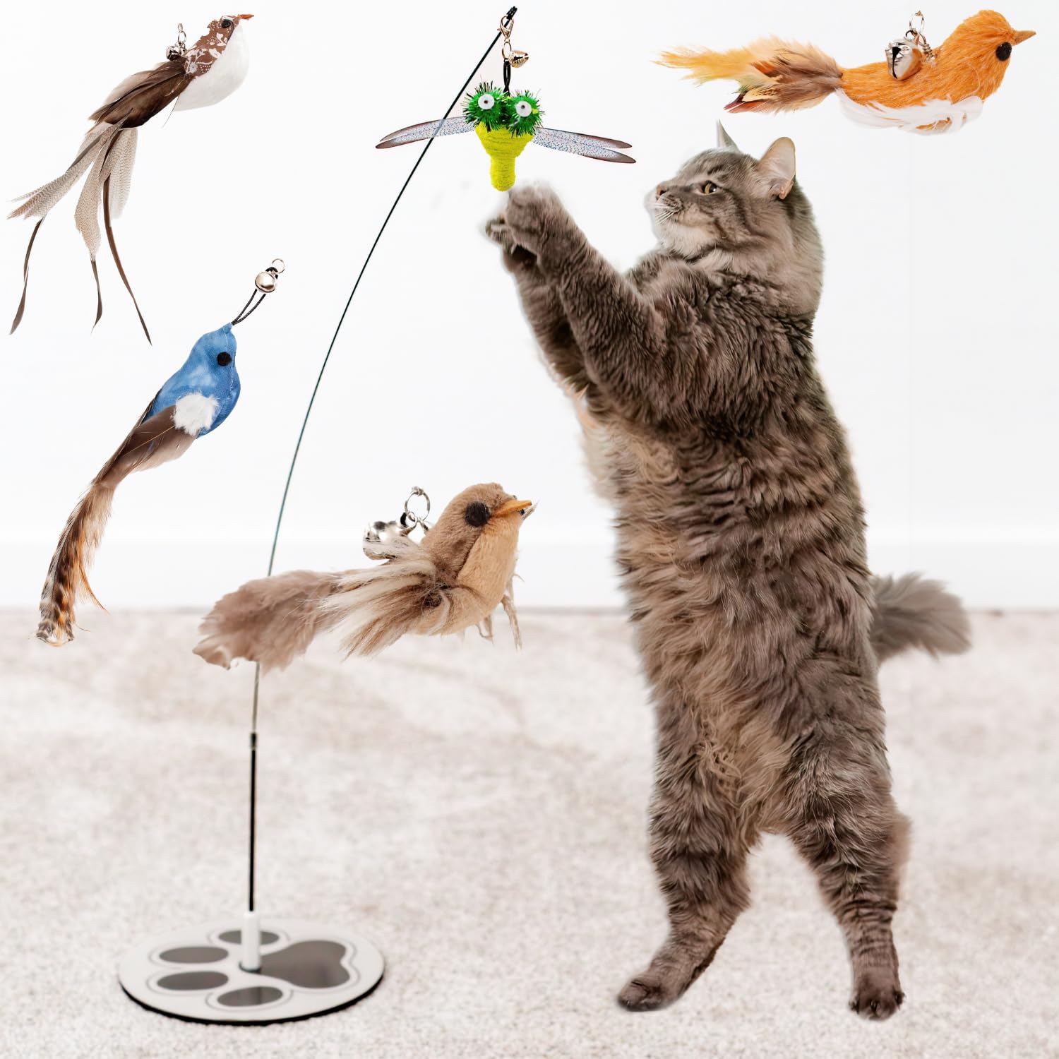 Whisker Wonders Lot de 5 jouets pour chat avec base solide