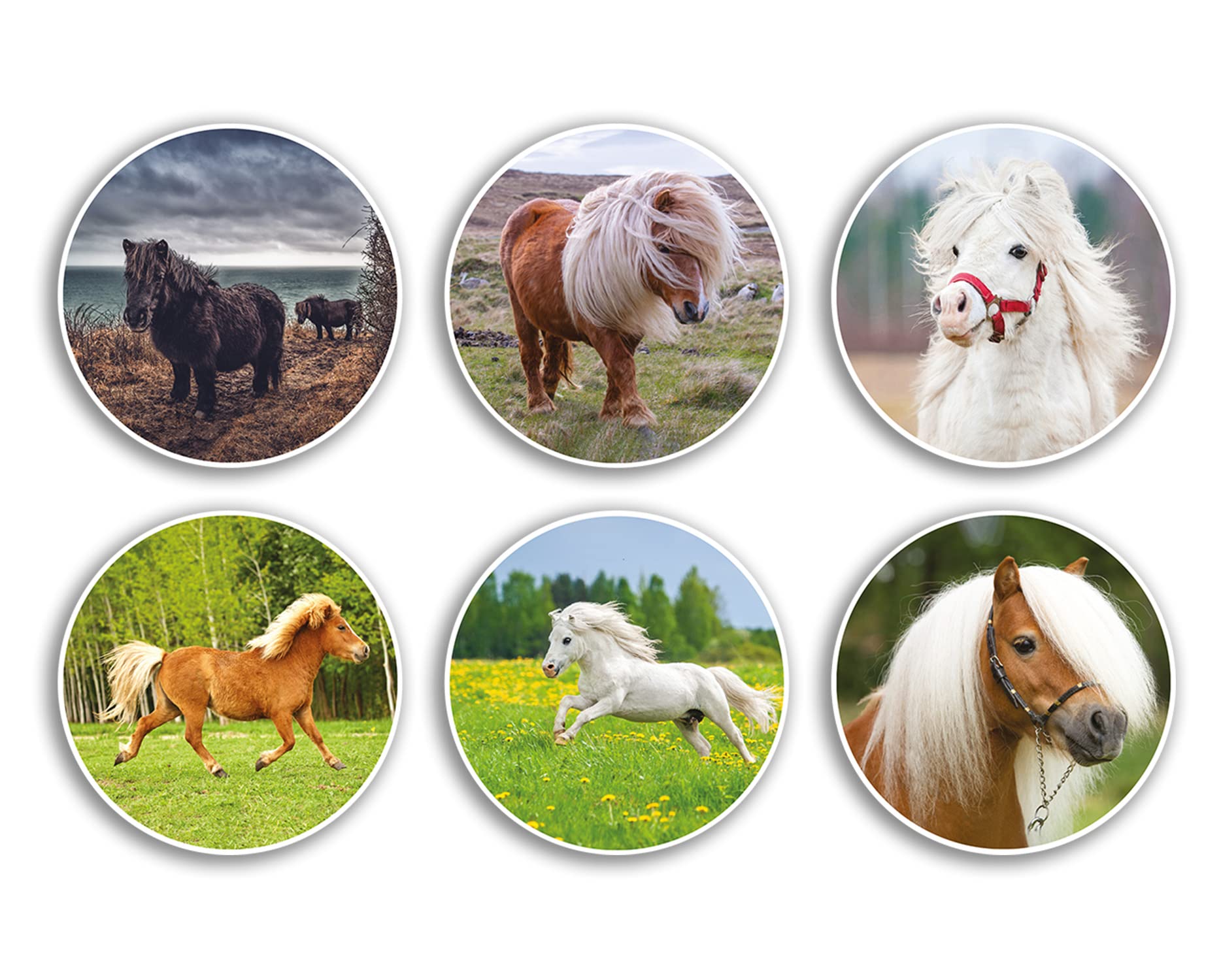 6 x 10cm Shetland Pony Vinyl Stickers - Animal Horse Equestrian Pets Windswept Scrapbooking Girls Stallion Gift #78986