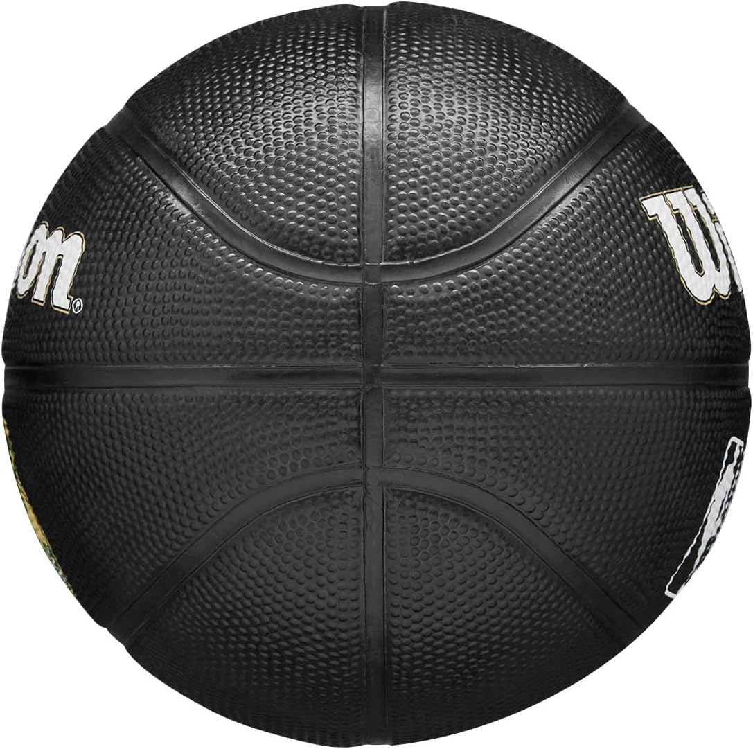 WILSON NBA Team Tribute Mini Basketball