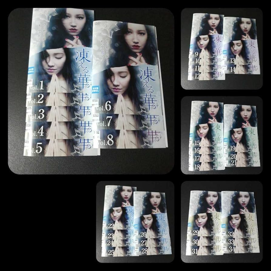 Amazon.co.jp: 韓国ドラマDVD『凍える華』(全話)レンタル落ち