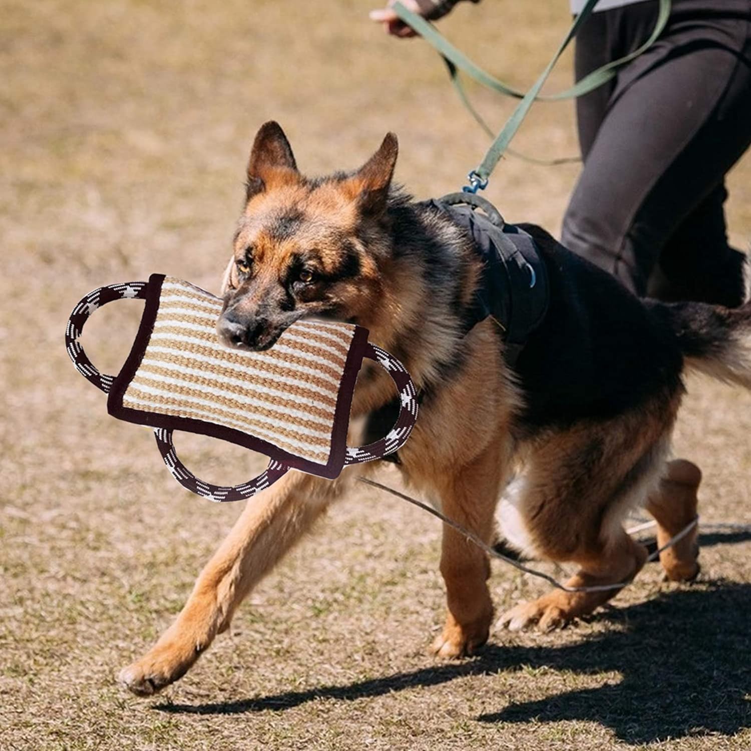 bangminda Dog Chew Toys Indestructible Dog Bite Pillow with 3 Handles Bite Cushion for Dogs Training Tug Toy K9 IPO Interactive Cushion Toy for Small Medium Large Dogs bangminda - Image 2