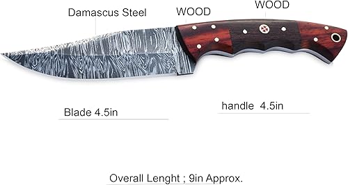 Miniatura 6 de GLADIUS CRAFTS Cuchillo Viking Heritage Skinner - Fabricado por expertos con acero de Damasco para caza de precisión y aderezo de campo adopta la