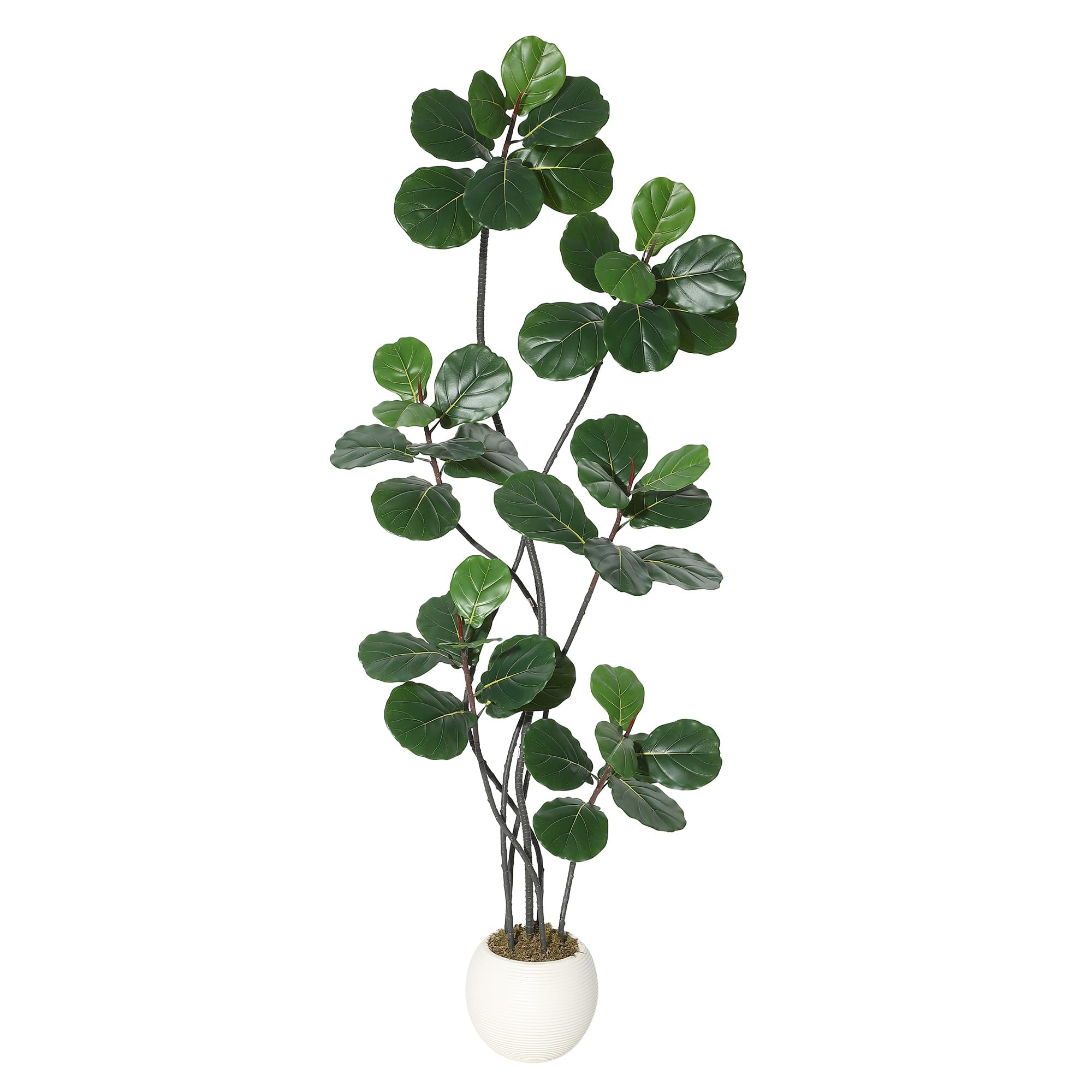 Ficus fausse réalistes 210cm arbre artificiel haut de gamme