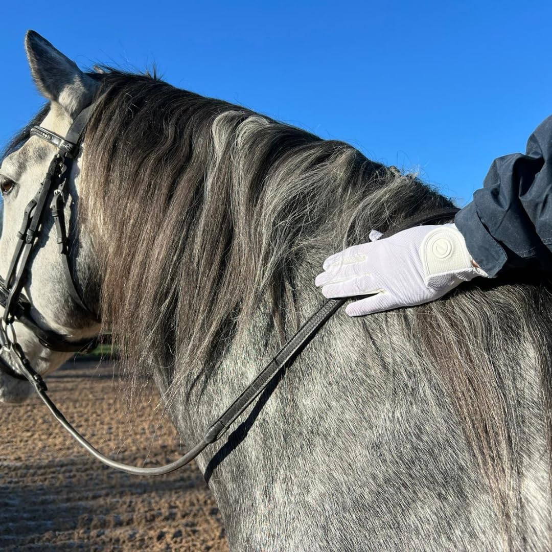 eGlove - eQUEST GripPro X-LITE Reithandschuhe - Leichtes, atmungsaktives, griffiges, rutschfestes Material - Komfort-Netzrücken - Touchscreen-Handschuhe