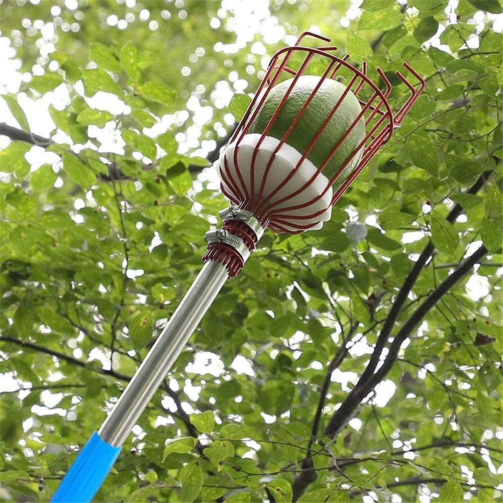Fruit Picker Pole with Basket, Lightweight Stainless Steel Extendable Fruit Catcher And Fruit Picker Tool with Telescopic Handle for Pear Peach Pomegranate, Sturdy Basket with Foam Pad,2.4m/7.9f ( 4m image 2