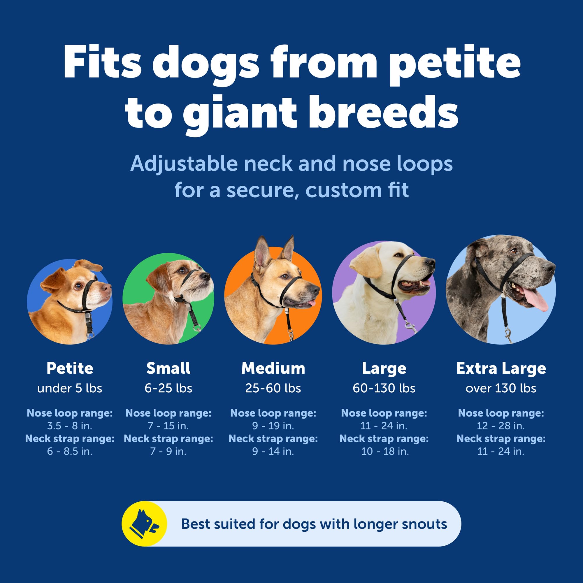 PetSafe Gentle Leader Hundekopfhalsband, die ultimative Lösung gegen Ziehen, leitet das Ziehen des Hundes um, für einfachere Spaziergänge, hilft dir, die Kontrolle wiederzuerlangen, Größe L, Anthrazit