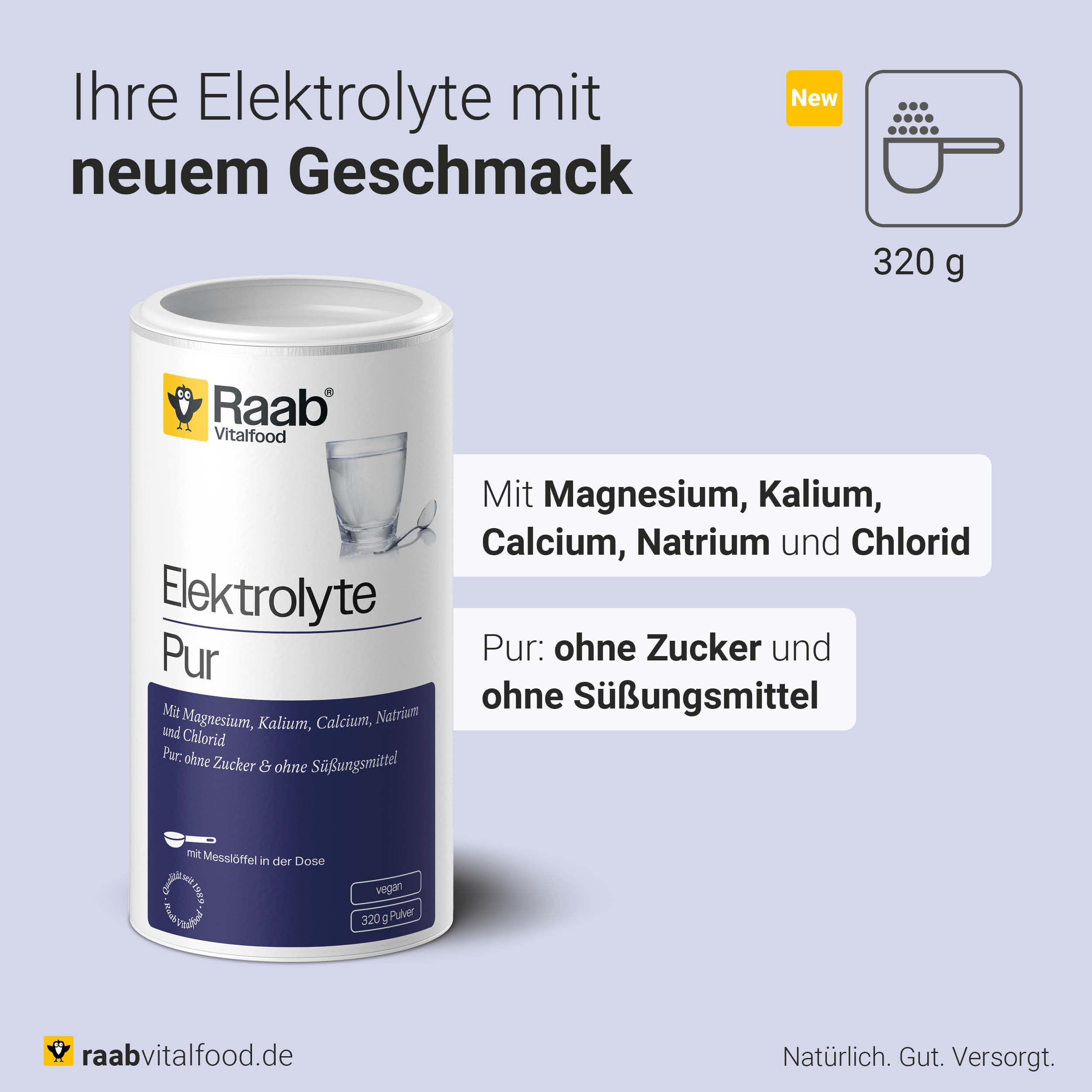 Raab Vitalfood Electrolytes Pur (320 g) - Végétalien, avec cuillère doseuse, poudre d'électrolytes sans sucre et sans édulcorant, parfait pour les sportifs en perte de liquide