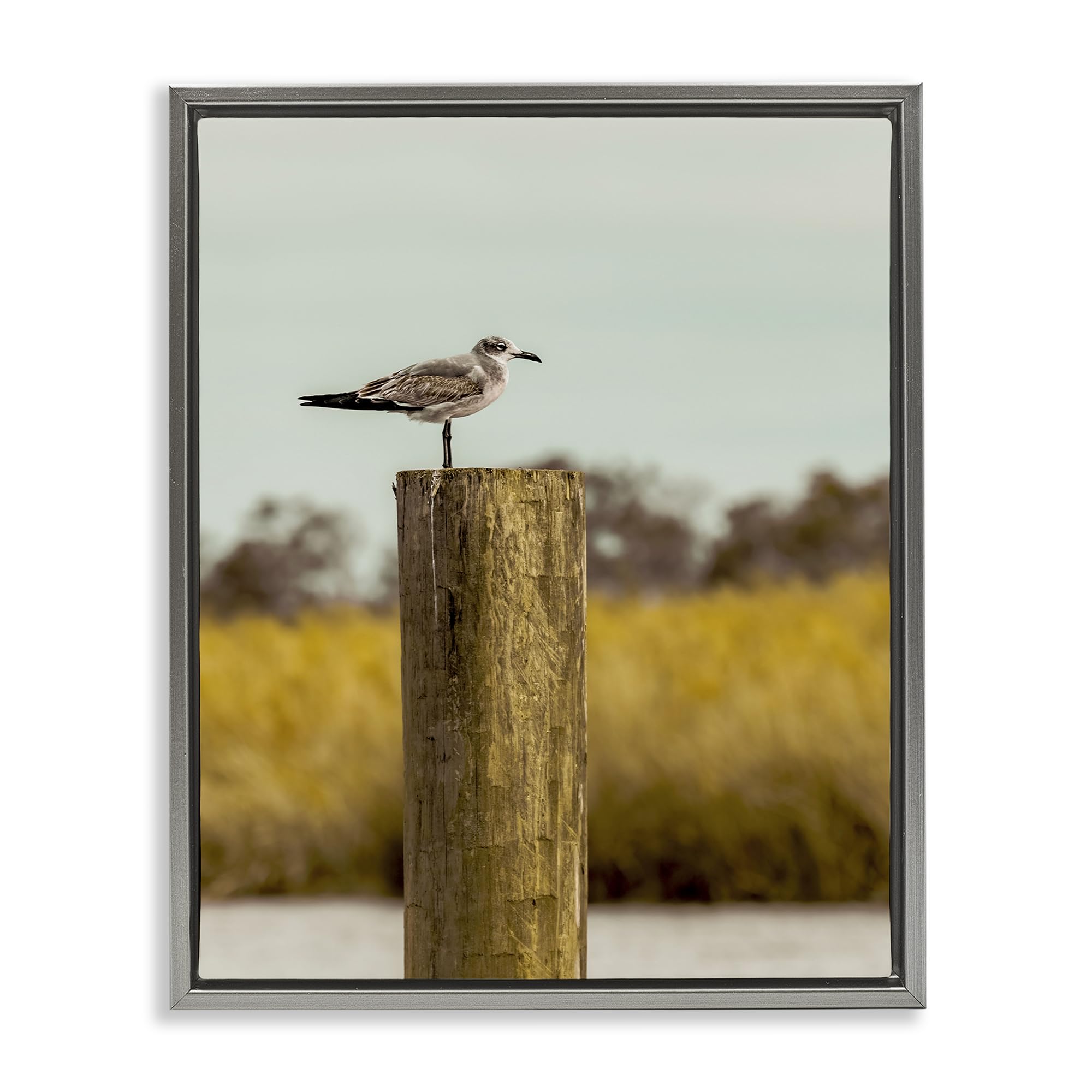 Stupell Industries 'Gull On Piling', Floating Frame Canvas Art, Gray, 25 x 31 Inches, Easy to Hang and Sturdy, Made in USA, by Christy Berry
