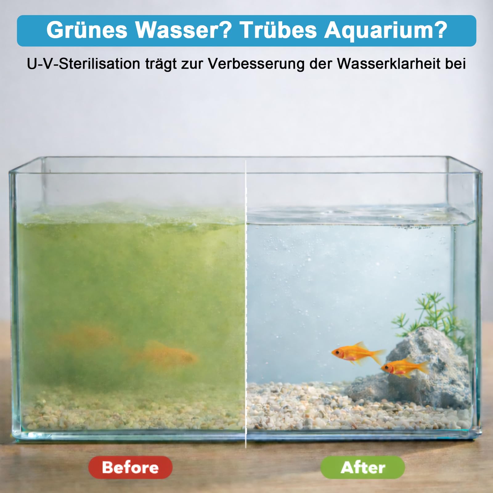 Aquarium UV Sterilisator 6W mit Timer, Vollständig Tauchfähig, Quarzversiegelt zur Abtötung von Bakterien & Algen, für 49–161L Aquarien
