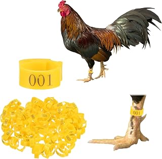 100-Pack Adjustable Chickens Leg Bands, 17-22 mm Plastic Poultry Identification Chicken Leg Rings for Turkey/Duck/Goose/Chicks, Colorful Numbered Foot Clip on Tags [Yellow]