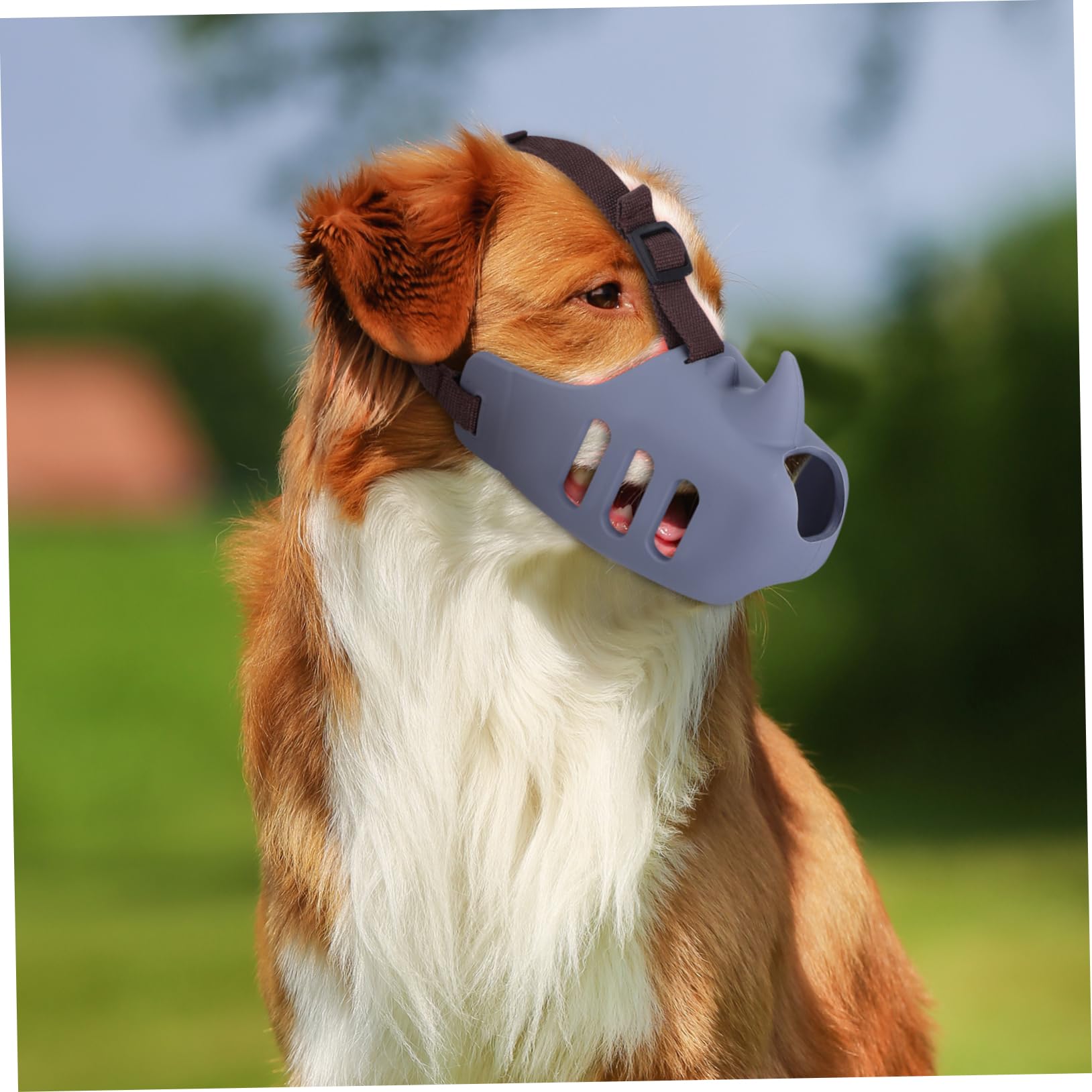 Toyvian Lot de 3 Muselières pour Chiens en Silicone, Anti-Morsure et Anti-aboiement, Ajustables, Confortables, pour Chiens Moyens et Grands