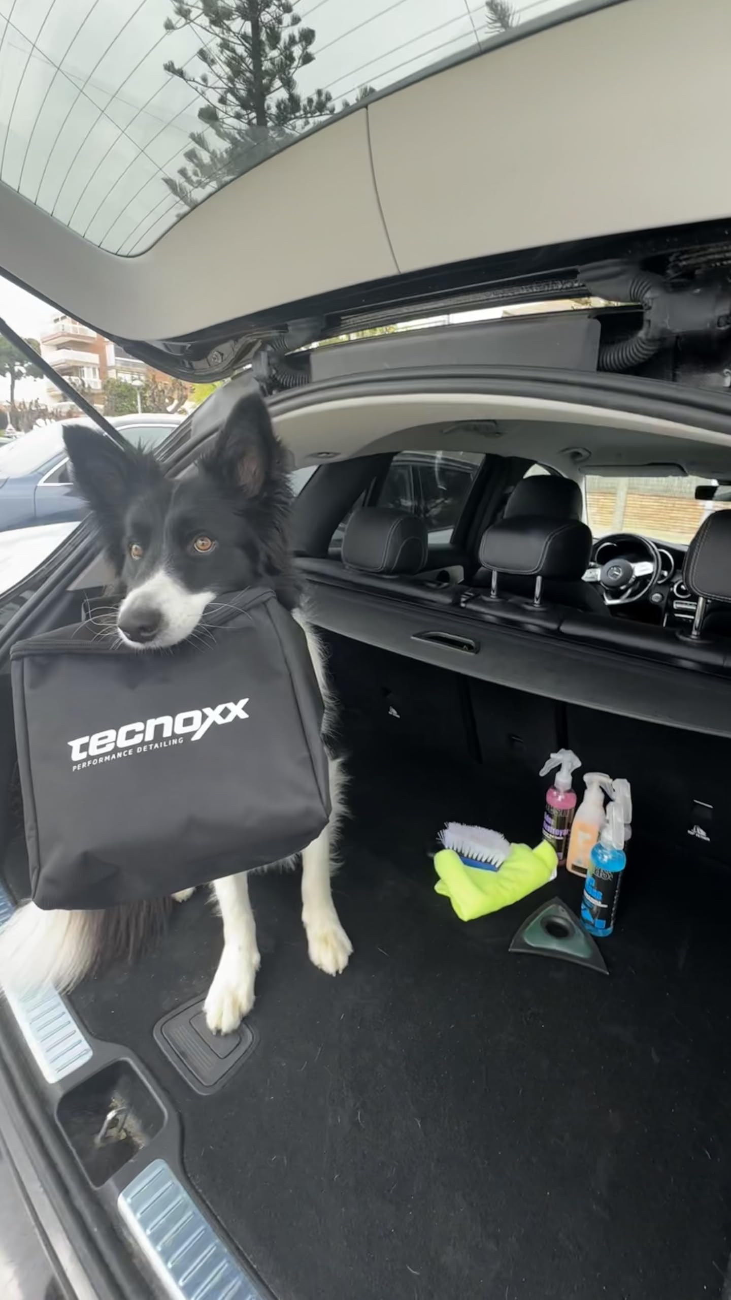 Tecnoxx Pet Car Detailing Kit Limpieza de Coche para Mascotas - Bolsa con Productos para Tapicería, Plásticos, Cristales y Elimina Olores + Quitapelos, Cepillo y Bayeta - Ideal Dueños de Perros