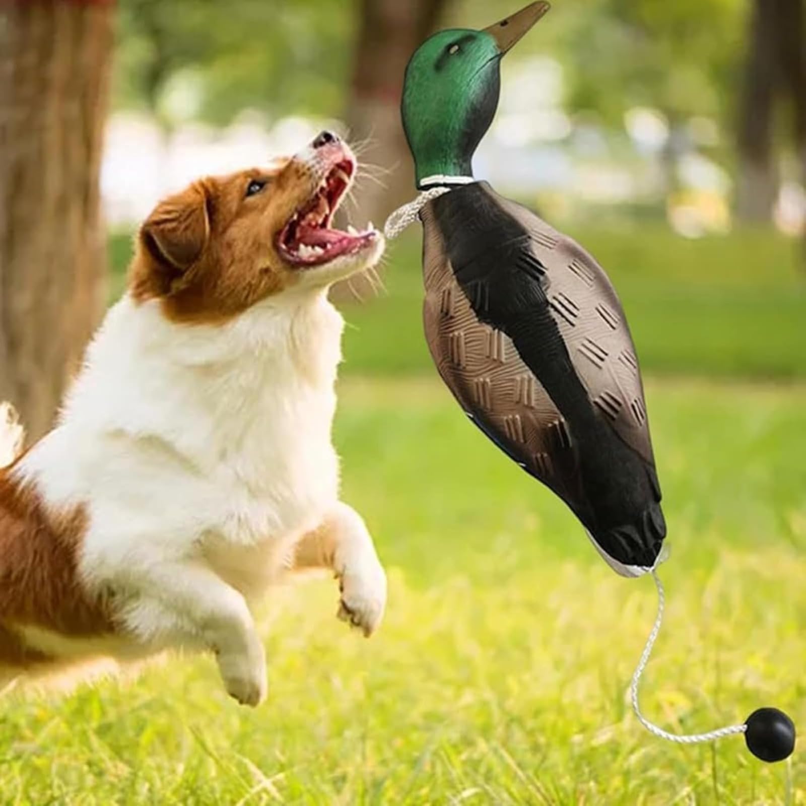 Dummy Anatra Cane Training Retrieve Ciuccio resistente all'usura e al morso, impermeabile e galleggiante, robusto e durevole, adatto per la formazione di cuccioli o cani da caccia adulti