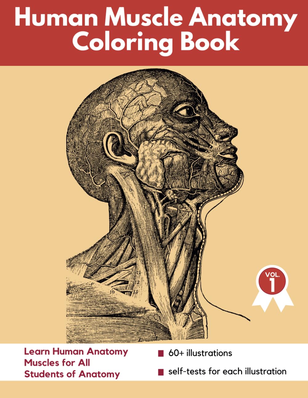 Muscle Anatomy Coloring Book: Learn Human Anatomy Muscles for All Students of Anatomy