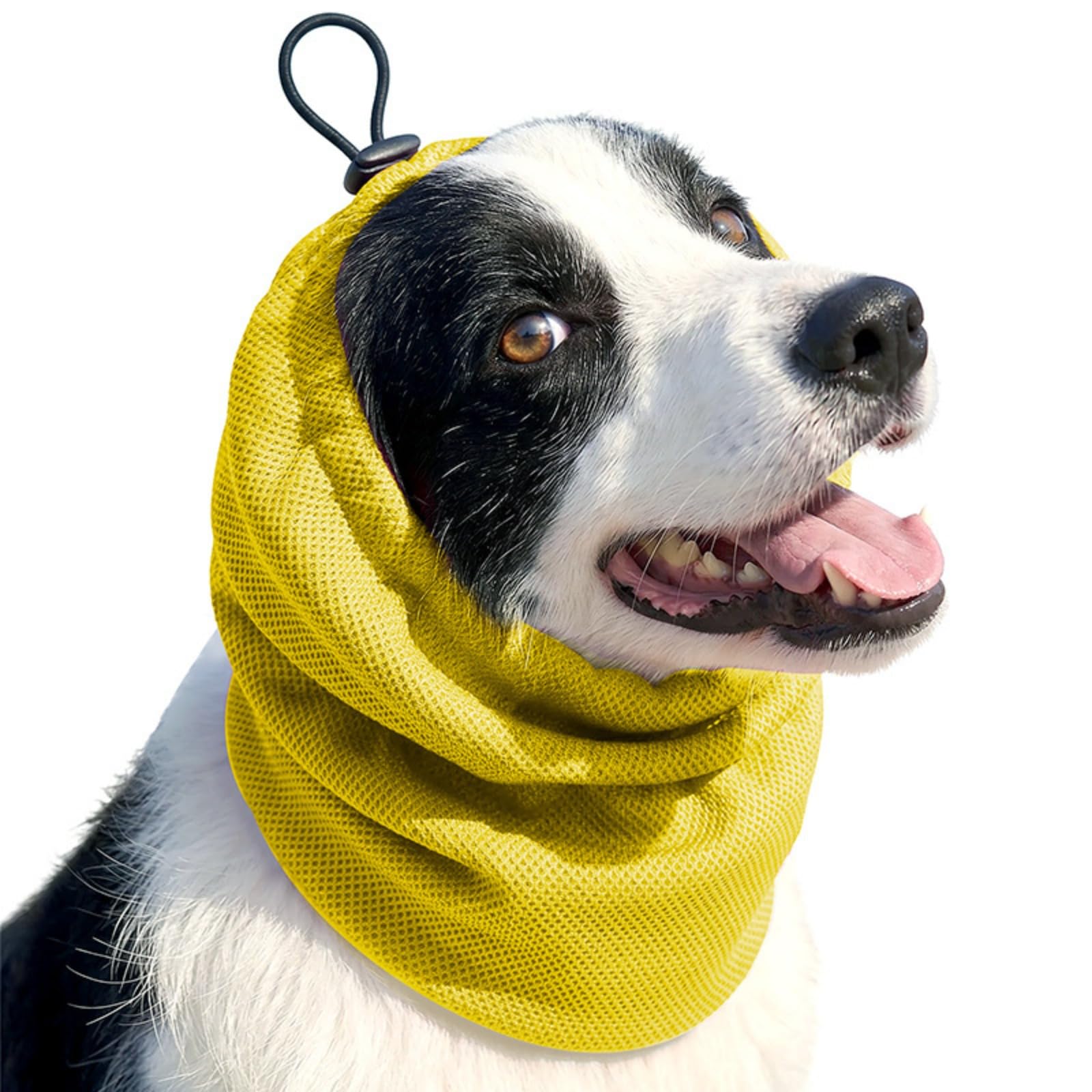 Paraorecchie rinfrescanti per cani - Copricapo regolabile e confortevole |per cani, fascia per la testa, per cuccioli di piccola, media e grande taglia, per interni ed esterni, casa, estate, spiaggia