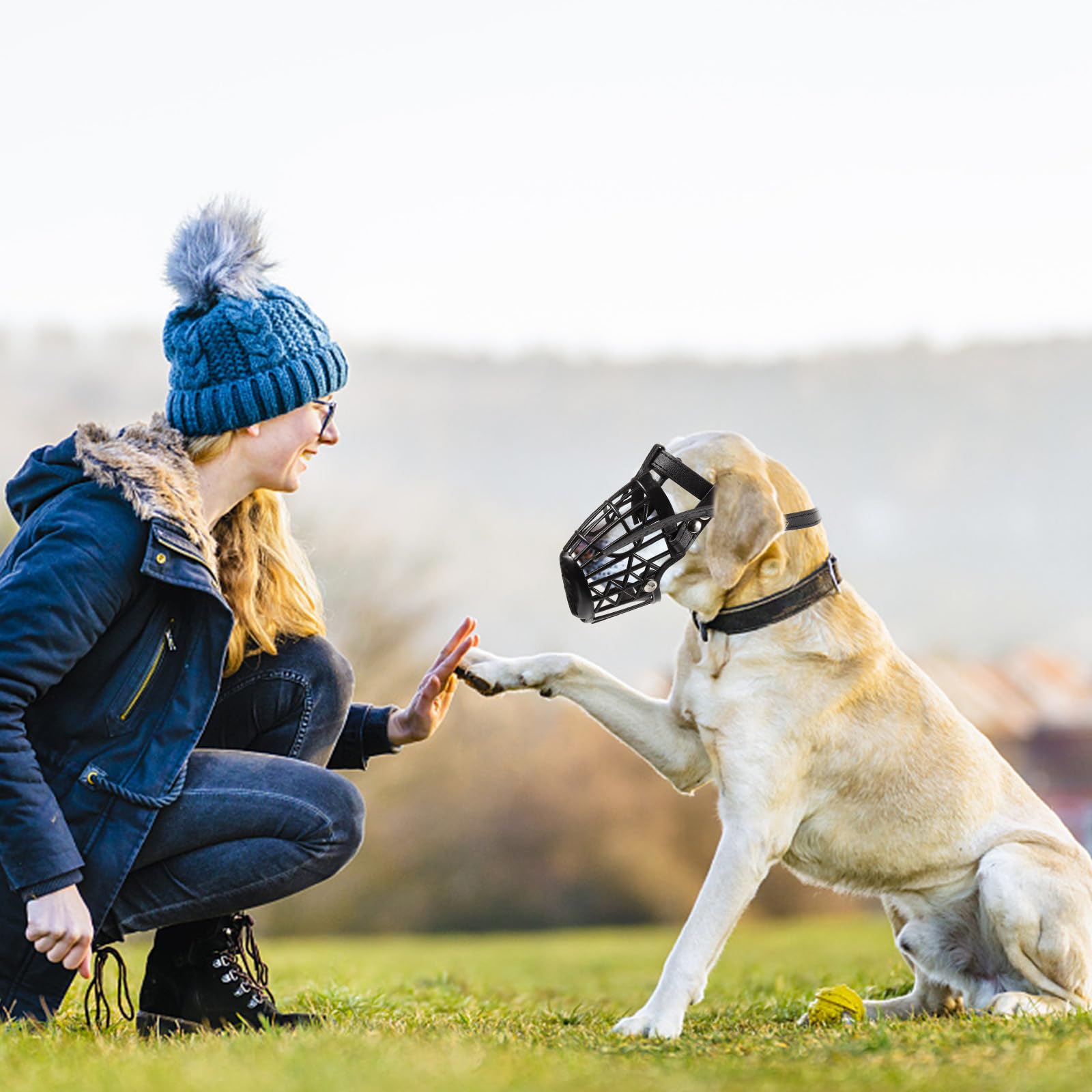 KESYOO Museruola per Cane Anti-Morso con Design a Cestello in Plastica e Cinturino Regolabile in Pelle Sintetica, Confortevole e Sicura per Cani di Dimensioni Grandi e Medie