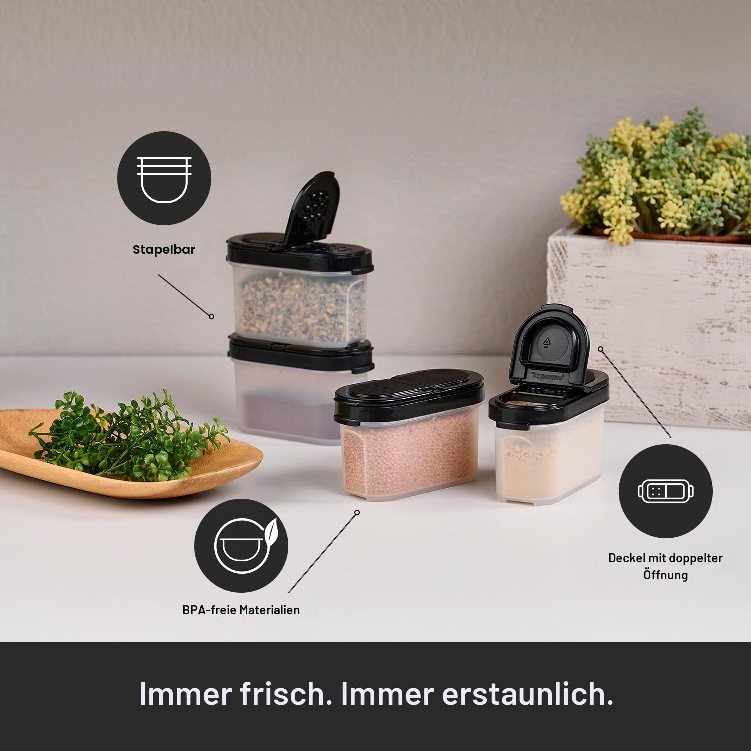 Tupperware Kleine Gewürzstreuer, 4er Set, hält trockene Kräuter und Gewürze frisch, BPA-frei, spülmaschinenfest