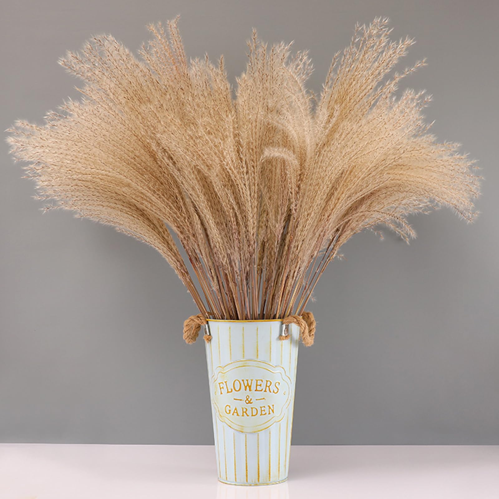 View 4