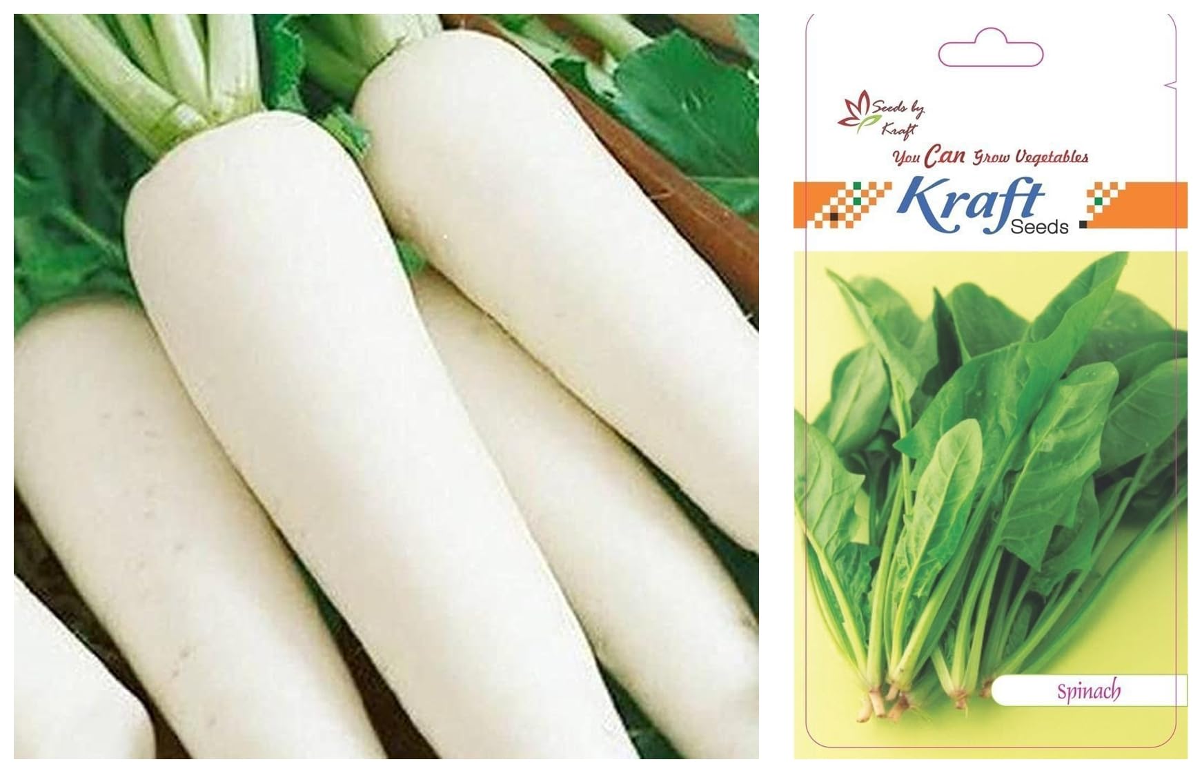Kraft Seeds by 10CLUB Vegetable Radish Seeds for Home Gardening (1 Packet, 10gm) Summer Vegetable Seeds for Home Garden | Fresh Gardening Vegetable Planting Raddish Seeds for Kitchen (B09XMTR1BL) Amazon Price History, Amazon Price Tracker