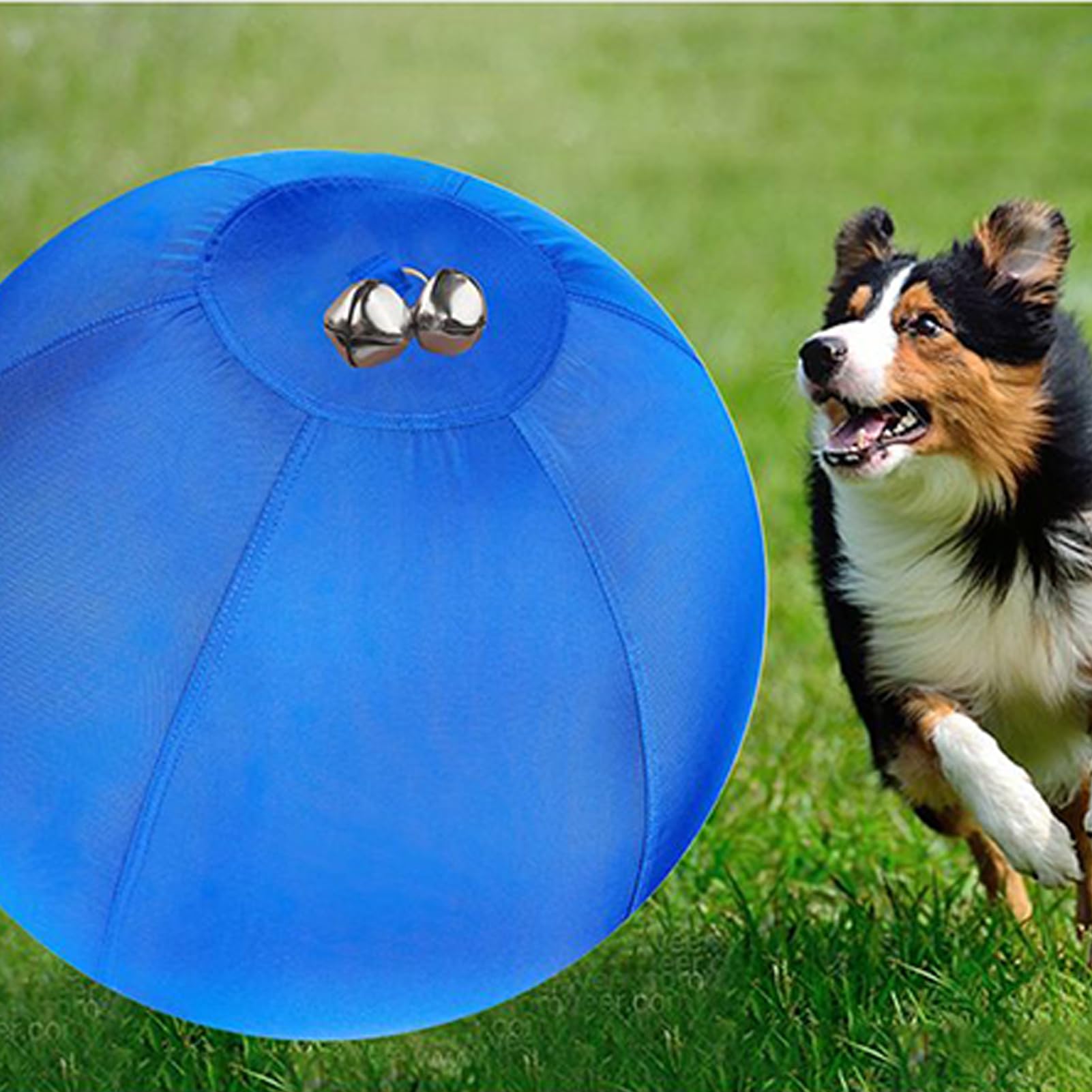 Boule de Berger pour Chien Gonflable et Rebondissante pour la Dentition