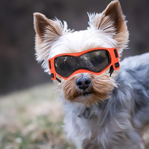 Miniatura 5 de Enjoying Gafas de sol para perros pequeños, con protección UV, resistentes al viento, antivaho para mascotas, para perros pequeños, gatos, marco