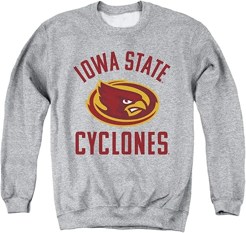 Miniatura 36 de LOGOVISION Colección oficial de sudaderas de cuello redondo para adultos con logotipo desgastado grande