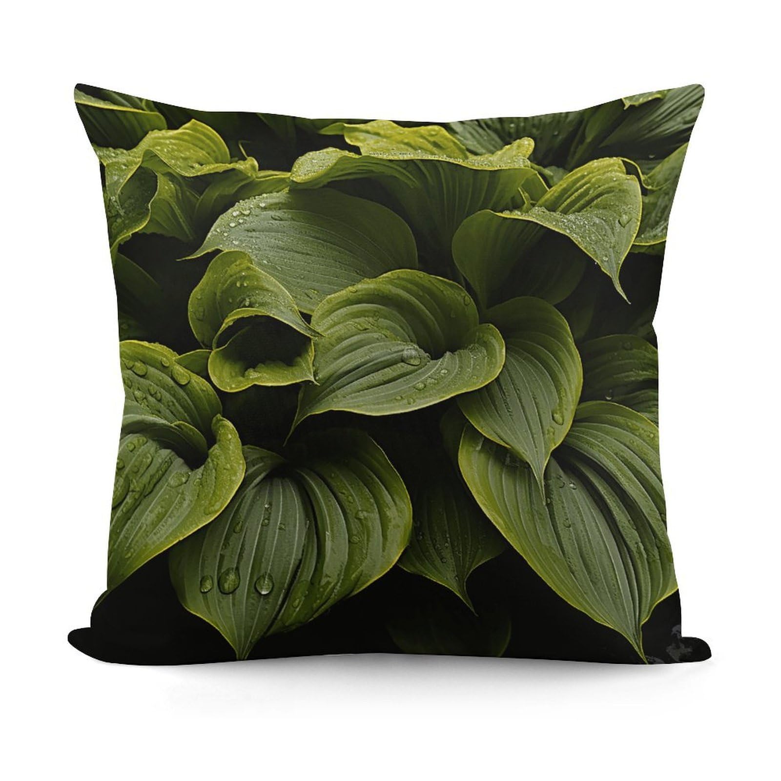 LZQPOEAS Moist Hosta Leaves Throw Pillow Cover 18x18 in Breathable Square Pillow Case Cozy Soft Pillowcase Protector Fashion Modern Couch Cushion Case for Living Room Bed Sofa Decor