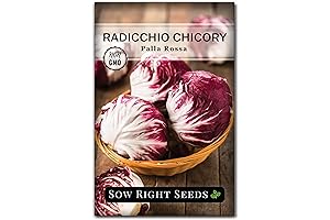 Sow Right Seeds - Palla Rossa Radicchio Seeds for Planting