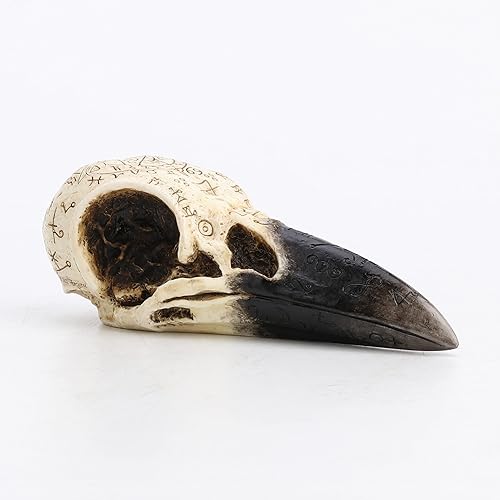 Veronese Design Escultura animal de resina para decoración del hogar de 6 1/4 pulgadas, ritual oculto, cráneo de cuervo, Wtichcraft