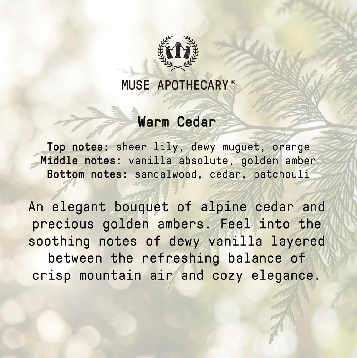 Muse Apothecary Hand Ritual - Botanical Collection - Aromatic and Nourishing Hand Soap, Infused with Natural Aromatherapy Essential Oils - 16 oz, Warm Cedar, Pack of 3