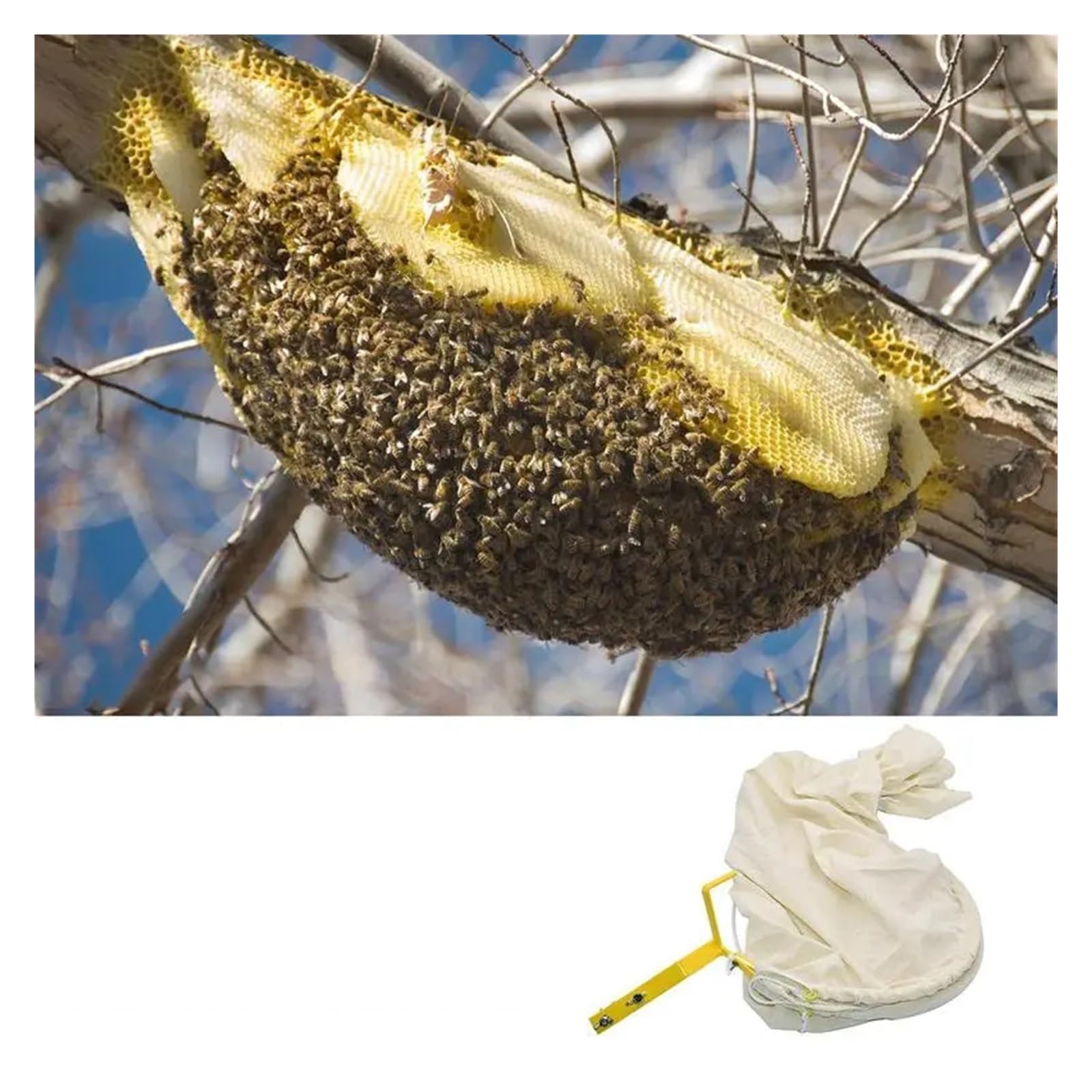 Filet de capture d'abeilles, ca anti-mouches réutilisable avec base verrouillable, équipement d'apiculture, sac d'apiculture, outil de contrôle des parasites Apiculture