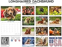 Vista 12 de Razas de Perros 2017