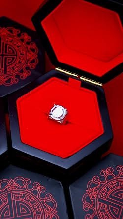 ZAG STORE - Miraculous Ladybug - Adrien Ring