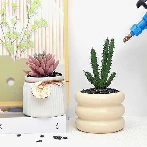 Miniatura 3 de Piedras negras de 10 libras para plantas de interior, jarrones, suculentas, rocas negras pequeñas de 38 pulgadas para plantas, pulidas y decorativas