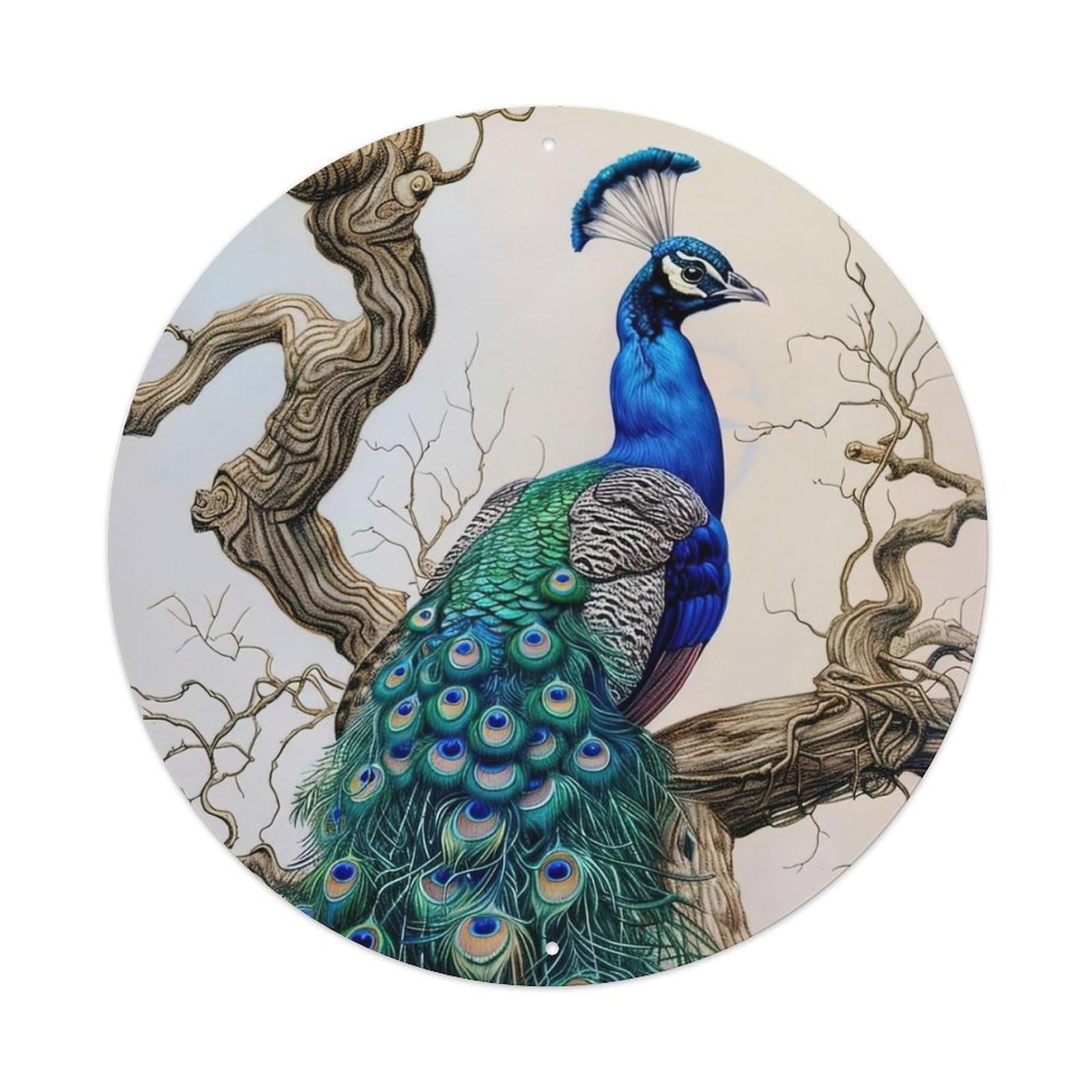 Animal Peacock on The Branch Metal Tin Sign