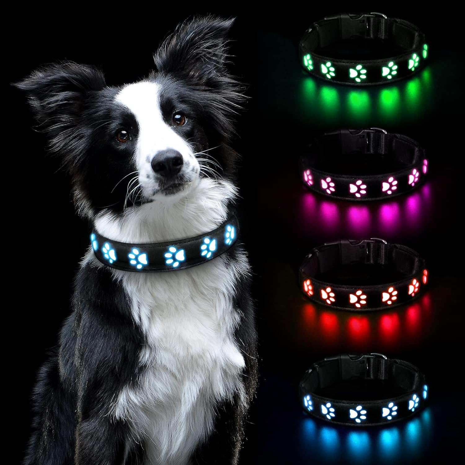 AUAUY Light Up Dog Collar, LED Dog Collar Light USB