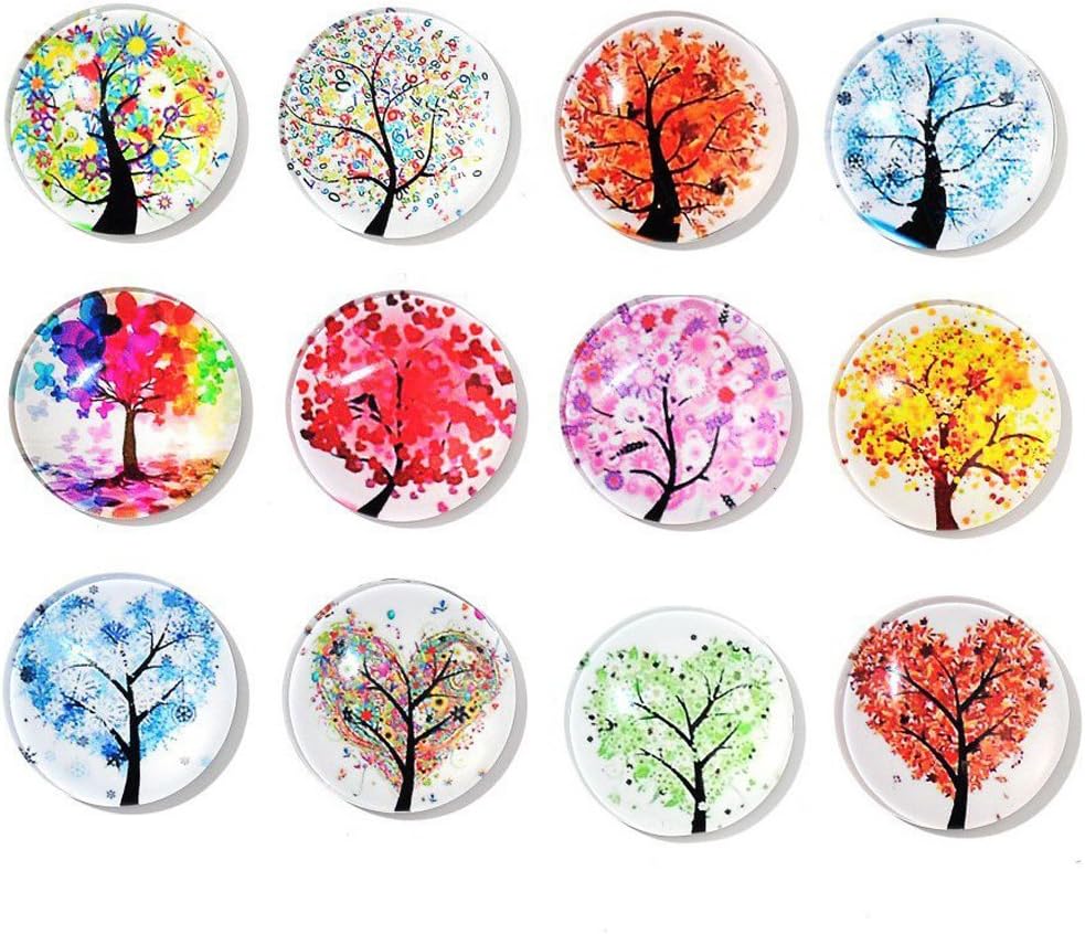 12 Fridge Magnets Kitchen Whiteboard Refrigerator Magnets Office Magnets 3D Funny Glass Magnets for Map, Home Decoration, Arts & Crafts,Locker Accessories (Tree)